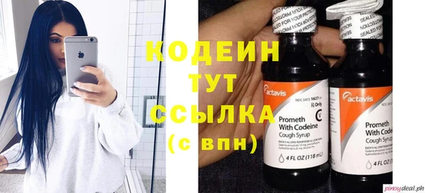 PSILOCYBIN Заводоуковск