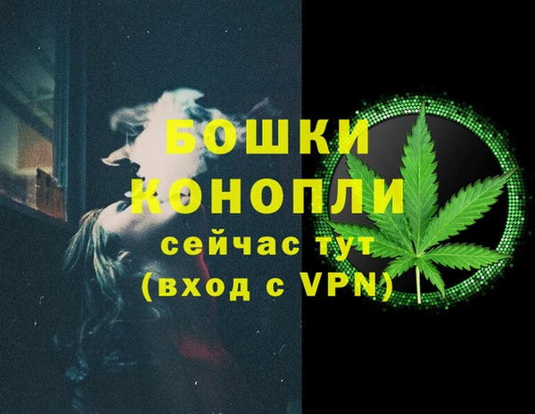 PSILOCYBIN Заводоуковск