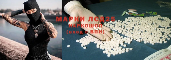 PSILOCYBIN Заводоуковск