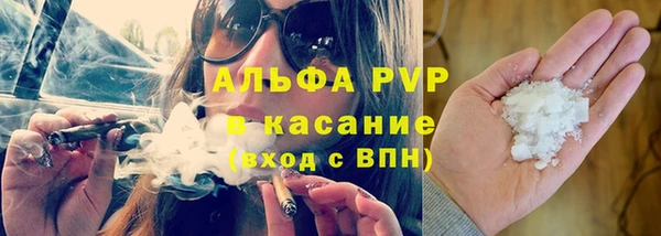 PSILOCYBIN Заводоуковск
