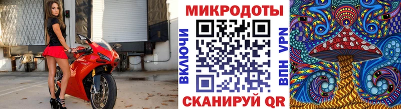 Псилоцибиновые грибы GOLDEN TEACHER  Купить  Зерноград 